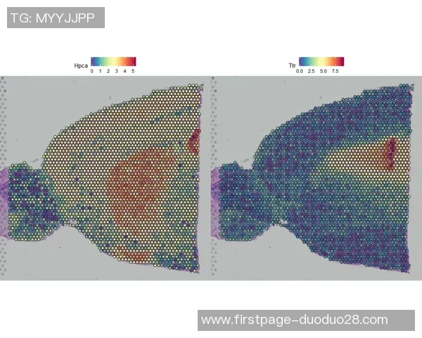 成都攀岩队节奏表现数据分析揭示训练效果与提升空间